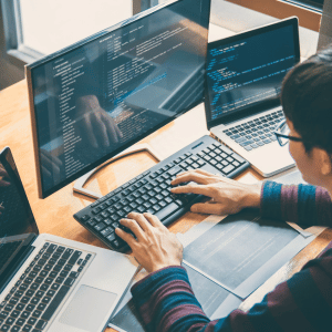 Ecommerce development